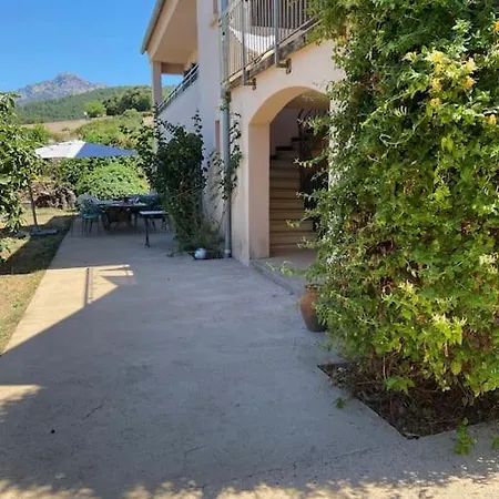 Rez De Chaussee Avec Piscine Daire *