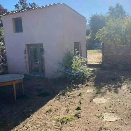 Daire Rez De Chaussee Avec Piscine