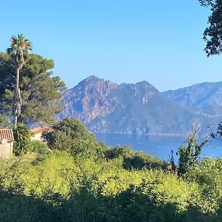 Rez De Chaussee Avec Piscine Daire *