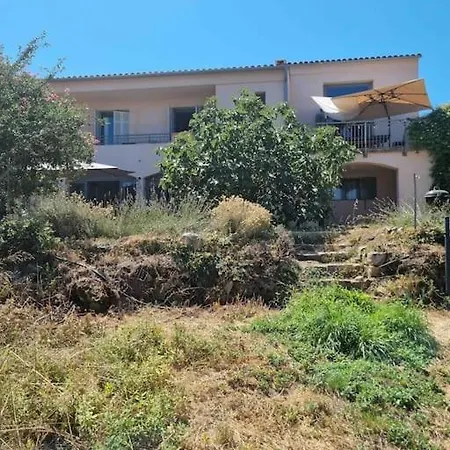 Daire Rez De Chaussee Avec Piscine Piana (Corsica)