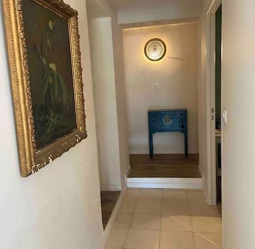 Rez De Chaussee Avec Piscine * Piana