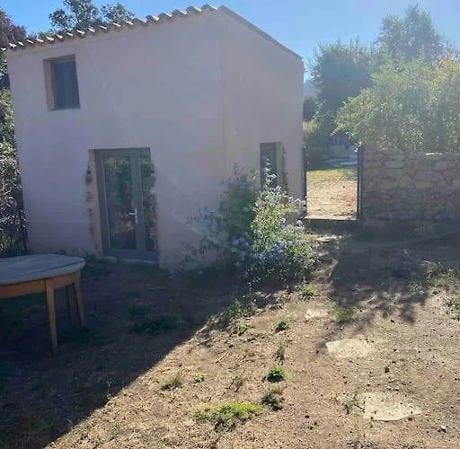 Apartman Rez De Chaussee Avec Piscine